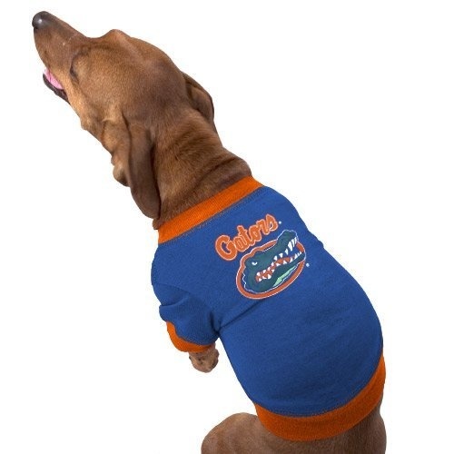 gators dog jersey