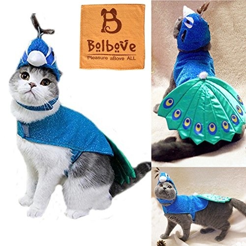 http://gd.image-gmkt.com/BROBEAR-PET-PEACOCK-COSTUME-WITH-HAT-FOR-SMALL-DOGS-CATS-BLUE/li/768/616/557616768.g_0-w-st_g.jpg