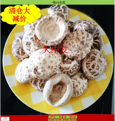 japan shitake mushroom / leg cut / 4-5cm 500g/ pack ★白花菇