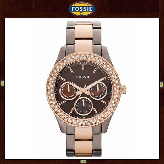 【クリックでお店のこの商品のページへ】[BRAND AVE] [グローバルセラー】ES2955 /米国本社製品/セサンプム/ fossilの腕時計