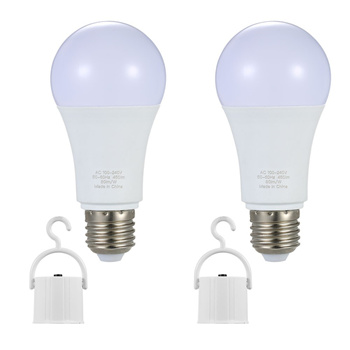 emergency light bulbs