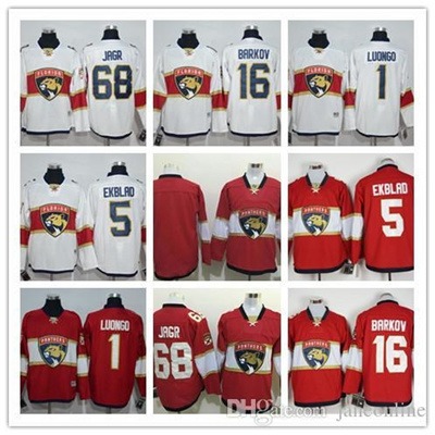 jaromir jagr panthers jersey