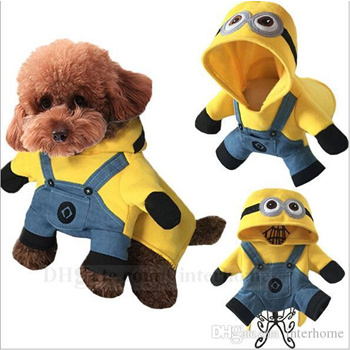 minion dog coat