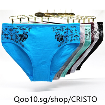 Qoo10 - 4pcs/lot 2XL/3XL/4XL plus size briefs women underwear