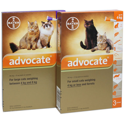 Qoo10 - Advocate 6 Pack flea and heartworm treatment for cats. : Pet Care