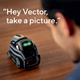 Qoo10 - Anki Vector Robot - A Helpful Robot Sidekick for