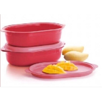 READY STOCK] [LIMITED] TUPPERWARE INSULATED SERVER