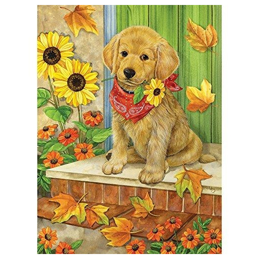 free online jigsaw puzzles f