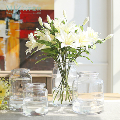 Qoo10 Bx Style Transparent Glass Vases Of Water Cultivated