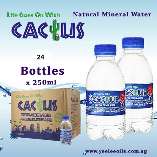 Qoo10 - Cactus Natural Mineral Water 250ml x 24 packs / Mini Pocket ...