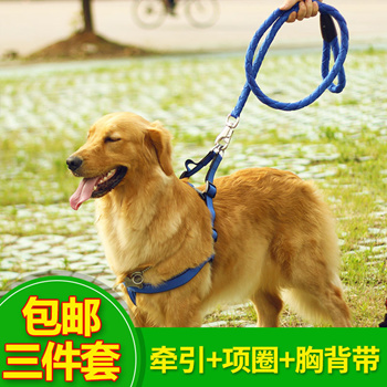 golden leash k9