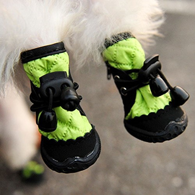 colorful house dog boots