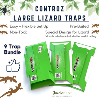 Qoo10 - Large Lizard Traps Controz Glue Trap  9 Sticky Trap Bundle Cicak  Kill : Household & Bedd