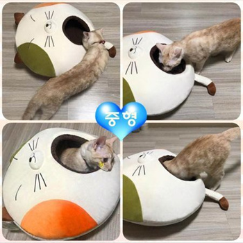 Qoo10 Cute Design Cozy Cat Cushion House Gift Cat Supplies