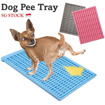 Pet pee outlet tray