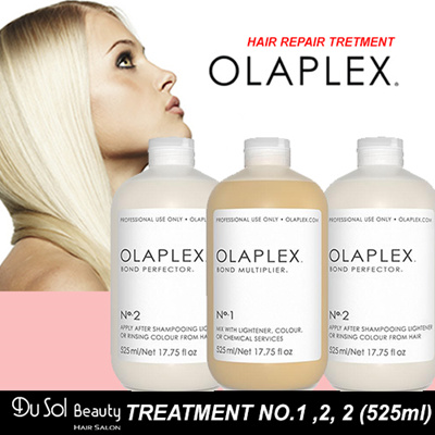 Olaplex Treatment No 1 And 2