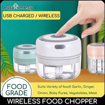 Buy Wholesale China Mini Garlic Chopper 100ml/250ml Wireless