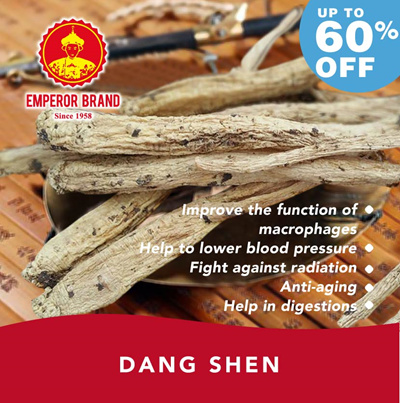 Qoo10 - Dang Shen Promo : Nutritious Items