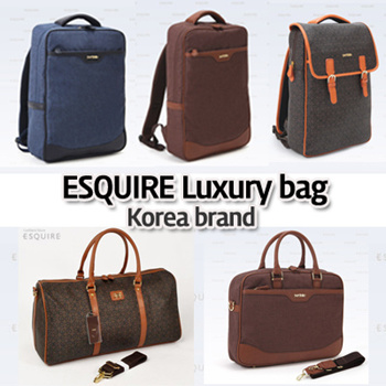 Esquire collection bags online prices