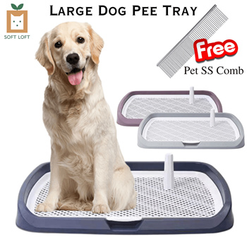 Large pee outlet tray