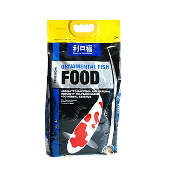 carp fish food