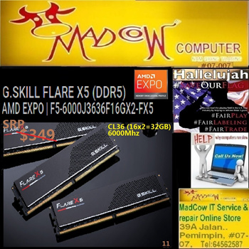 Qoo10 - G.SKILL FLARE X5 (DDR5) AMD EXPO