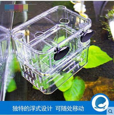 Qoo10 - Guppy fish fry breeding box hatching box : Pet Care