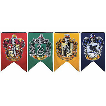 34 Harry Potter Ravenclaw House Banner