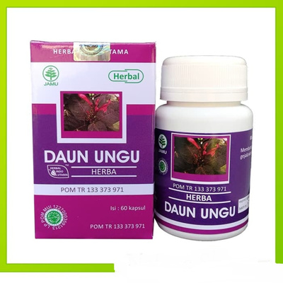 Obat Herbal Daun Ungu - Tanaman Herbal Pedia