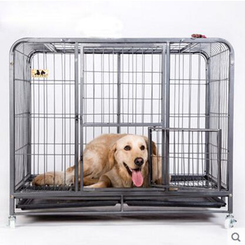 Oversized dog clearance crate