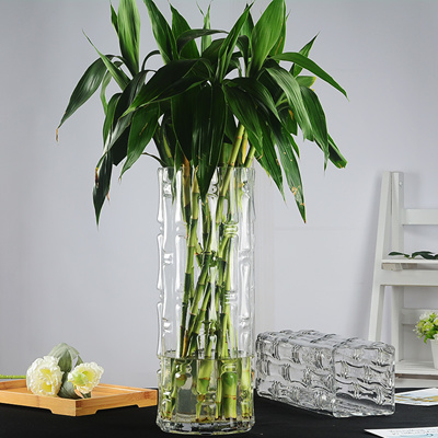 Qoo10 King Size Bamboo 50 Cm Clear Glass Thicker Vase Water