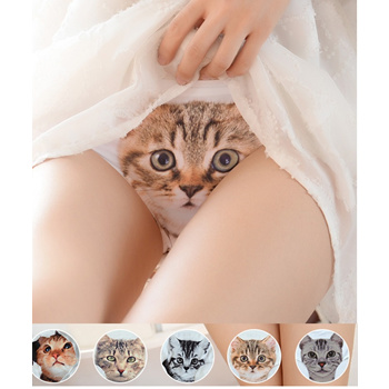 Qoo10 - Lady Cat Underwear panty seluar dalam kucing (9945) : Women's  Clothing