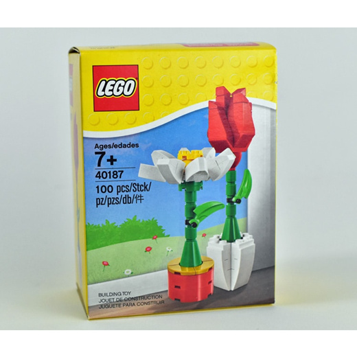 lego 40187