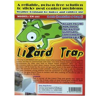 https://gd.image-gmkt.com/LIZARD-TRAP-4-TRAP-OR-2-TRAP/li/858/564/455564858.g_350-w-et-pj_g.jpg