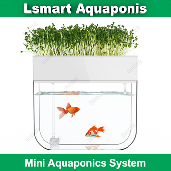 aquaponics tank