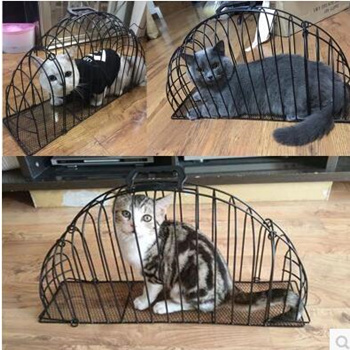 cat washing cage