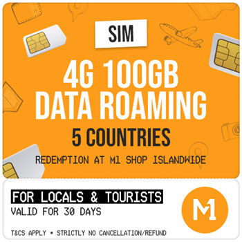 m1 100gb sim only