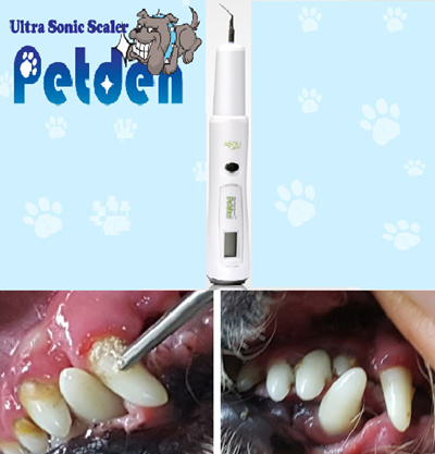 Ultrasonic Teeth Cleaning For Dogs - TeethWalls