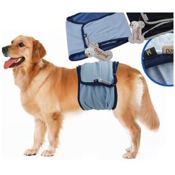 male dog belt