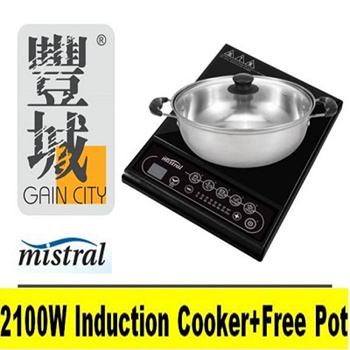 gain city induction cooker