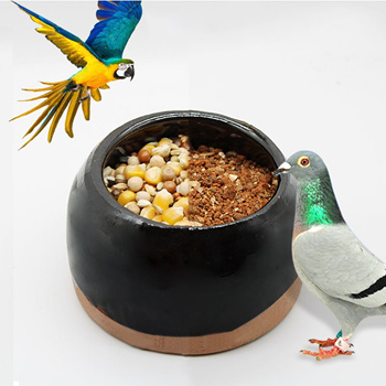 pigeon food bowl