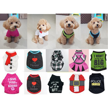 dog clothes puppy