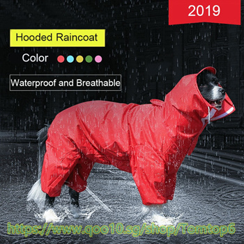 dog raincoat big w