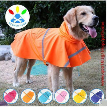 dog raincoat labrador