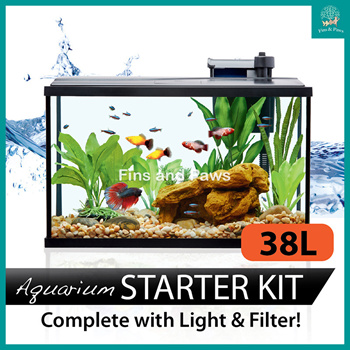 led fish tank