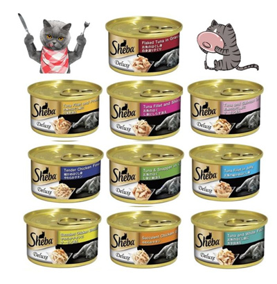 Qoo10 - Cat Food : Pet Care