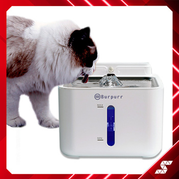 Pet Water Feeder - Taiwan Dog Drinkers suppliers & manufacturers