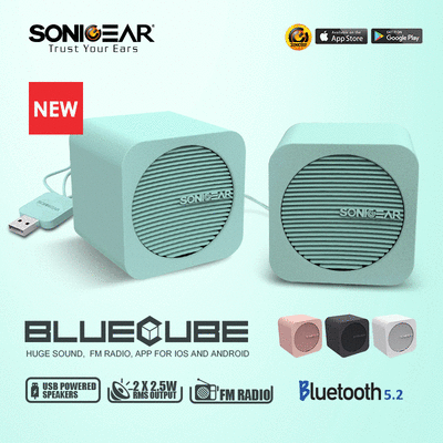 Image result for sonicgear bluecube specifications