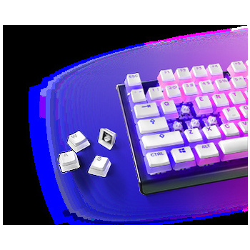 PBT Keycaps  SteelSeries