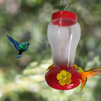 garden bird water feeder